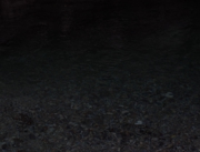 21-P9251574.jpg